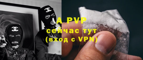 стафф Абдулино