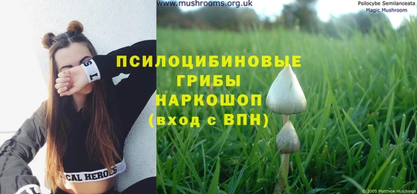 твердый Абинск