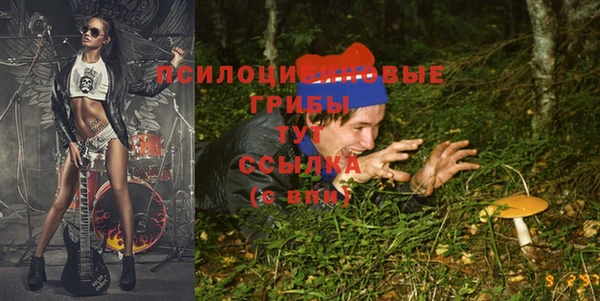 apvp Абаза