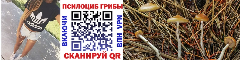 Псилоцибиновые грибы GOLDEN TEACHER  Лиски 